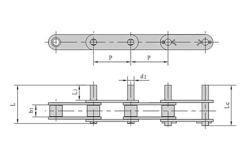 Double pitch conveyor chains with extended pins