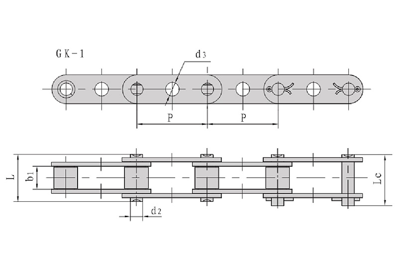 Double pitch conveyor chains with central holes
